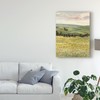 Trademark Fine Art Victoria Borges 'Morning Meadow I' Canvas Art, 35x47 WAG09545-C3547GG